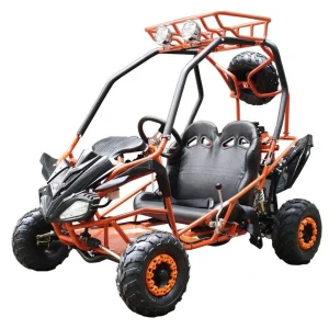DongFang 125cc Kids Go Karts Type-GTS - Image 4